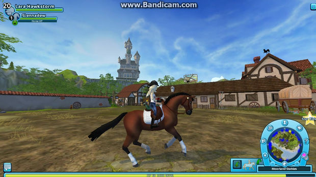 The new bay Hanoverian